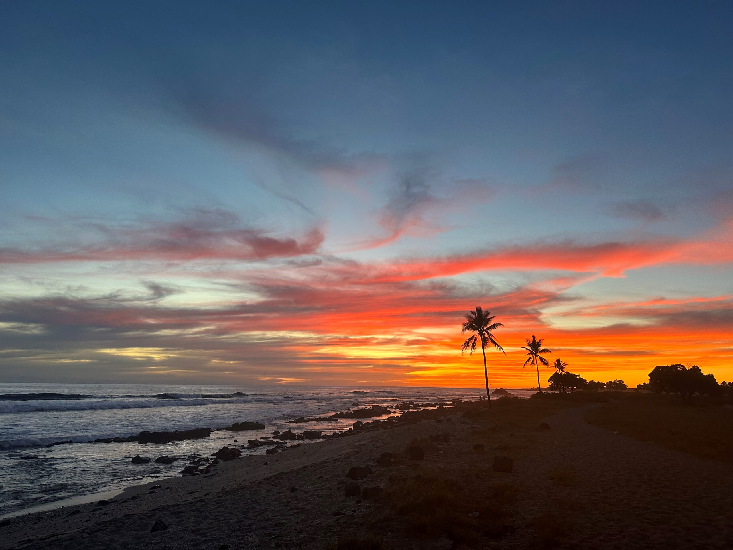 Beach With Palms at Sunset